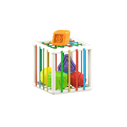 Colorful Shape Blocks Sorting